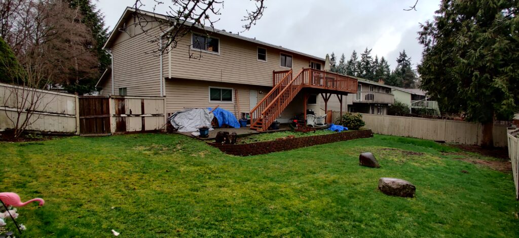 IMG_20210202_104428 (1)