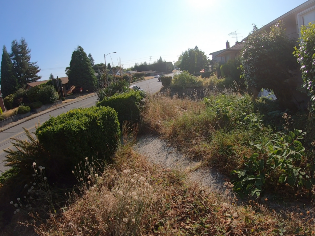 Screenshot 2023-09-06 112944