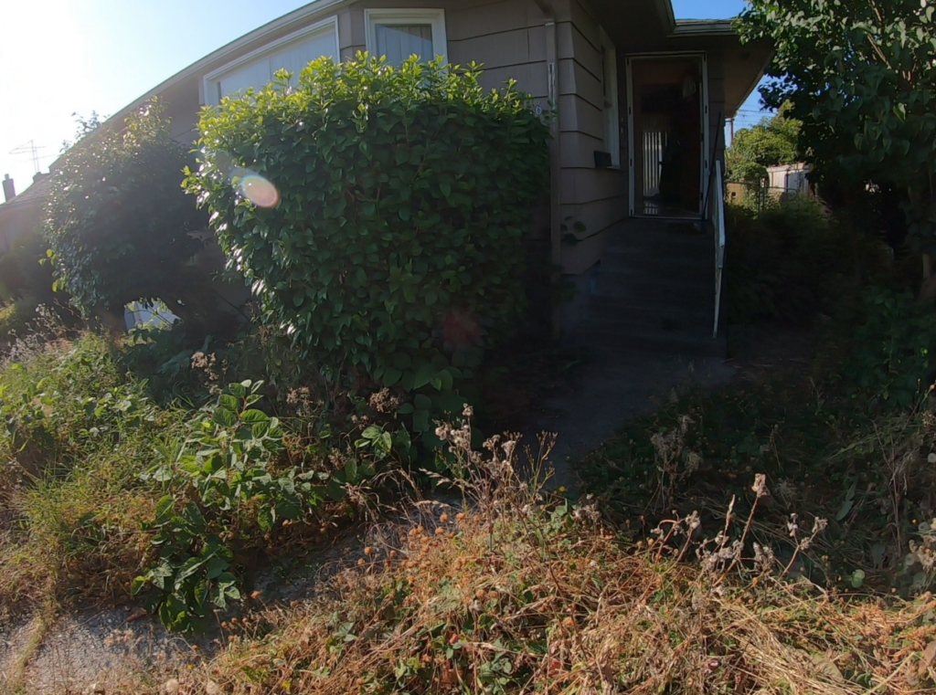 Screenshot 2023-09-06 113057